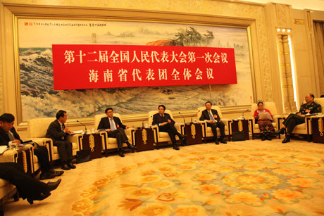 海南代表团举行开放日