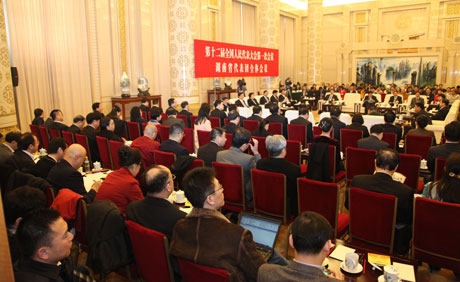 湖南代表团举行开放日