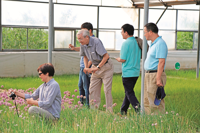 邓兴旺在田间调研.JPG