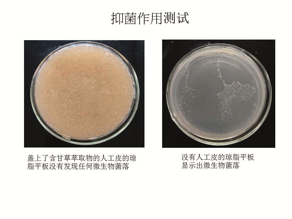 抑菌作用测试.JPG