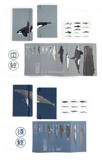 果壳商店的文创产品“鲸本”.jpg 果壳商店的文创产品“鲸本”.jpg