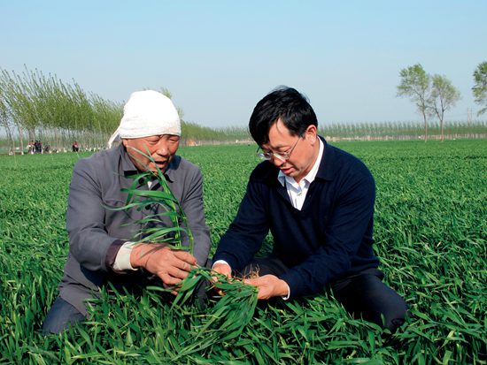 2010年4月在邯郸市曲周县白寨乡北油村；（左）农民赵福建，（右）张福锁教授在田间指导小麦养分合理管理.jpg