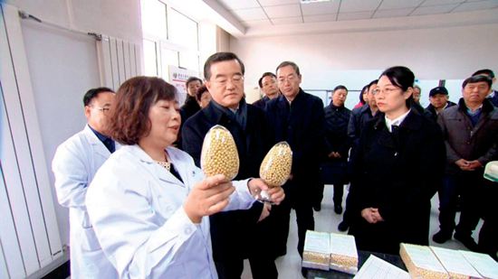 栾晓燕给张庆伟介绍大豆品种黑农84、黑农87.JPG