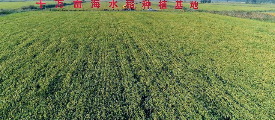 屏幕截图 2023-03-10 144344.png