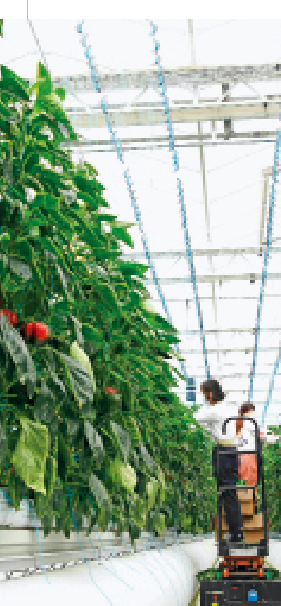 屏幕截图 2023-05-11 171639.png