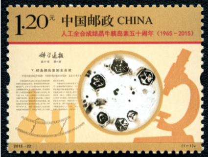 屏幕截图 2024-03-15 115453.png