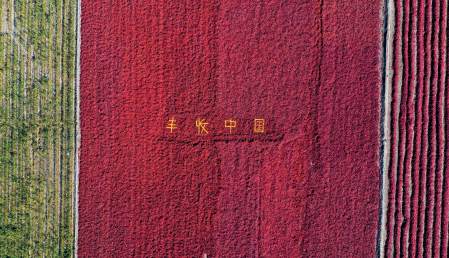 屏幕截图 2024-03-18 142655.png