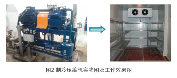 屏幕截图 2024-06-03 133950.png