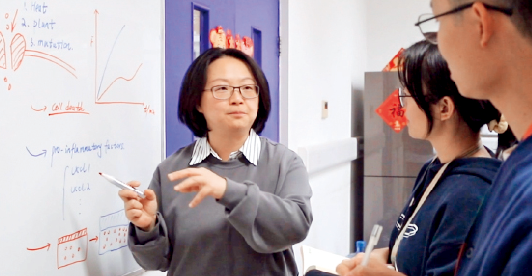 屏幕截图 2024-08-09 121218.png