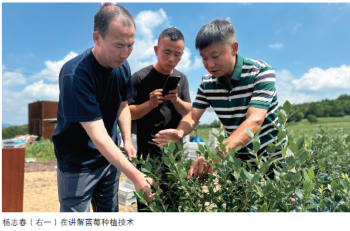 屏幕截图 2024-10-14 142644.png