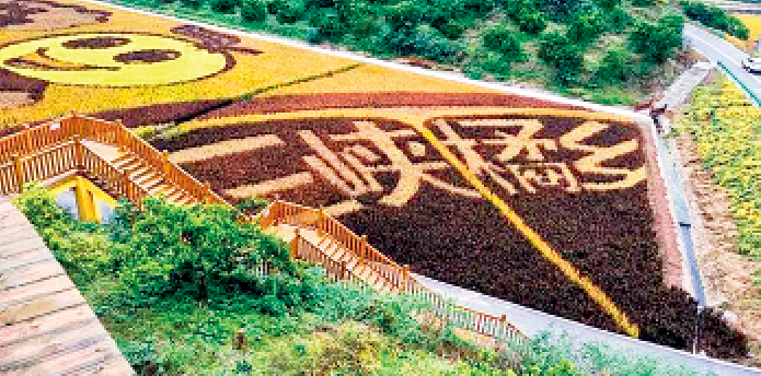 屏幕截图 2024-10-28 104658.png