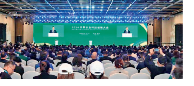 屏幕截图 2024-12-16 132745.png