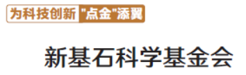 屏幕截图 2024-12-17 120916.png