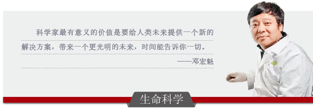 屏幕截图 2025-02-20 112409.png