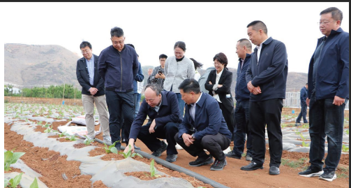 屏幕截图 2025-07-03 133840.png