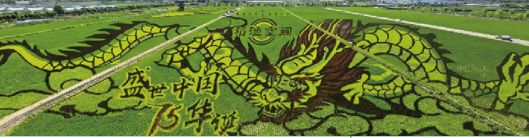 屏幕截图 2025-07-08 134901.png