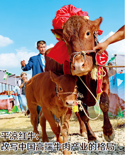 屏幕截图 2025-10-10 160630.png 屏幕截图 2025-10-10 160630.png