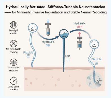 屏幕截图 2026-02-27 162541.png
