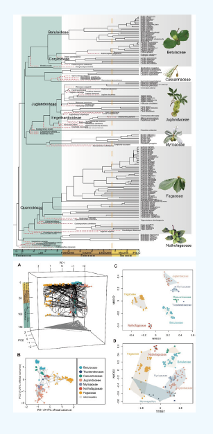 屏幕截图 2026-02-27 162829.png