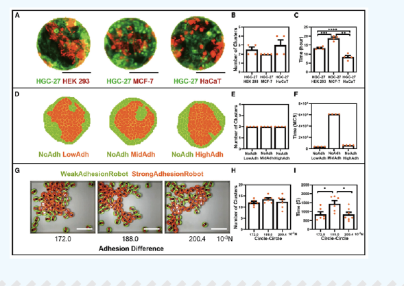 屏幕截图 2026-03-07 142641.png 屏幕截图 2026-03-07 142641.png