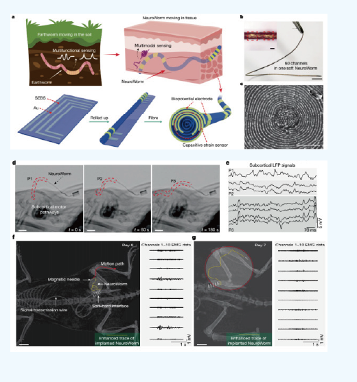 屏幕截图 2026-03-07 144152.png 屏幕截图 2026-03-07 144152.png