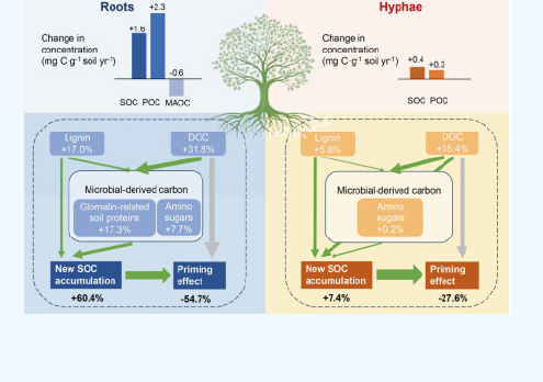 屏幕截图 2026-03-07 150037.png 屏幕截图 2026-03-07 150037.png