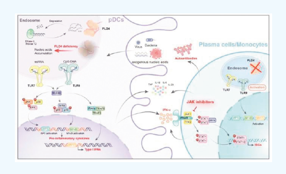 屏幕截图 2026-03-07 152335.png 屏幕截图 2026-03-07 152335.png