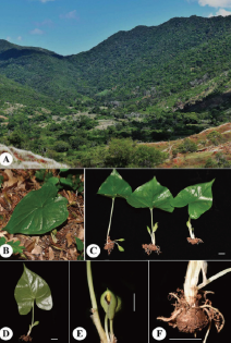 屏幕截图 2026-03-11 104620.png 屏幕截图 2026-03-11 104620.png