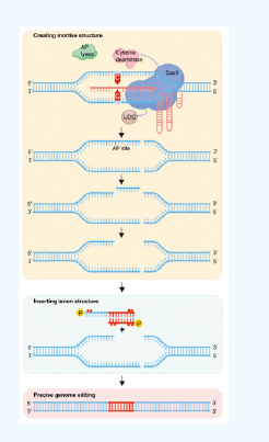 屏幕截图 2026-03-24 135814.png