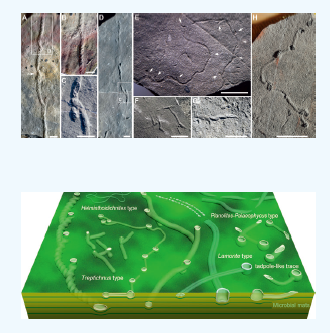 屏幕截图 2026-03-24 141146.png