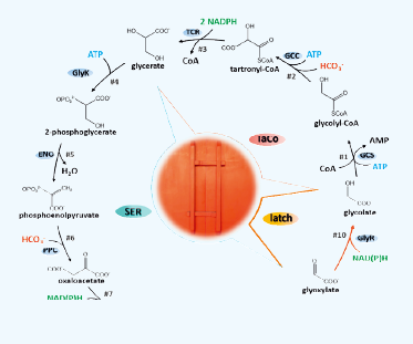 屏幕截图 2026-03-24 141208.png