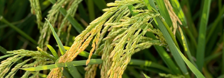 屏幕截图 2026-03-26 150705.png