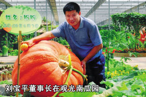 刘宝平董事长在观光南瓜园