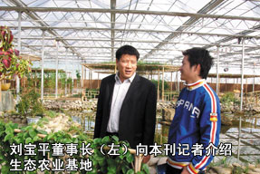 刘宝平董事长（左）向记者介绍生态农业基地