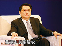 芜湖市长杨敬农