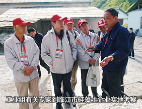 工业组有关专家到临江市硅藻土企业实地考察指导