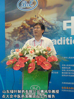 山东绿叶制药有限公司傅风华教授在大会中医药发展论坛上作报告