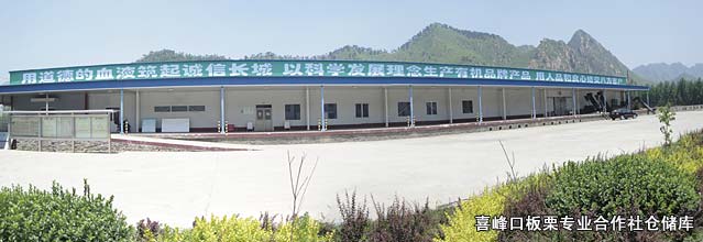 喜峰口板栗专业合作社仓储库