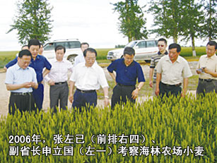 2006年，时任黑龙江省省长的张左已（前排右四）、副省长申立国（左一）考察海林农场小麦种子田