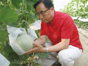 2009年7月18日在网纹甜瓜有机栽培大棚内