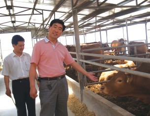 “肉牛养殖大王”何洪礼介绍现代化的养牛经验
