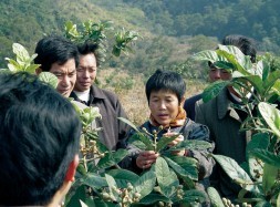 科技特派员员农业基地建设