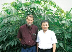 国际知名木薯专家Reinhardt Howeler博士与张鹏研究员在上海参观生长旺盛的转基因木薯