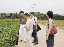 张春义(左一)在四川南充甘薯中心考察