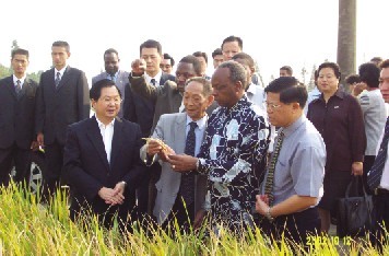 袁隆平向来访的莫桑比克总理介绍杂交水稻
