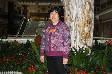 于一苏代表：加快推进秸秆机械化还田机制