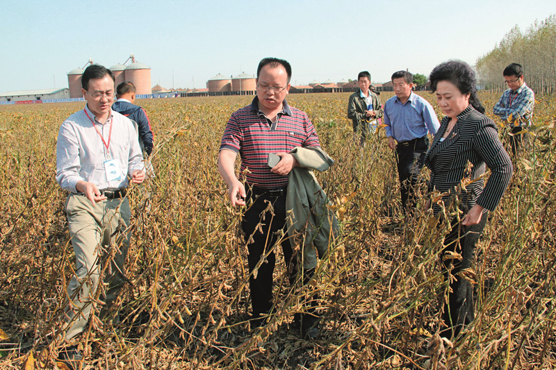 全国农技中心周泽宇处长、农业部微生物质检中心李俊主任与华龙公司逄镜萍在讷河示范田考察.JPG