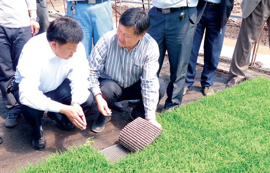 5 水稻钵形毯状秧苗.jpg