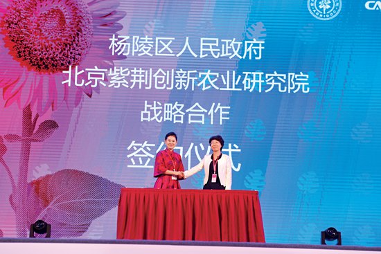 北京紫荆创新农业研究院执行院长徐子凌（左一）与陕西省杨陵区人民政府副区长周梅青签订战略合作协议.jpg