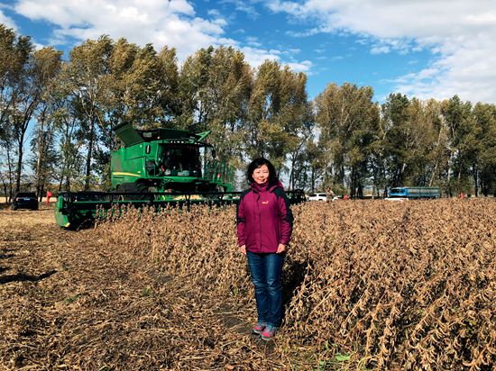 栾晓燕黑农84品种实收测产现场.JPG
